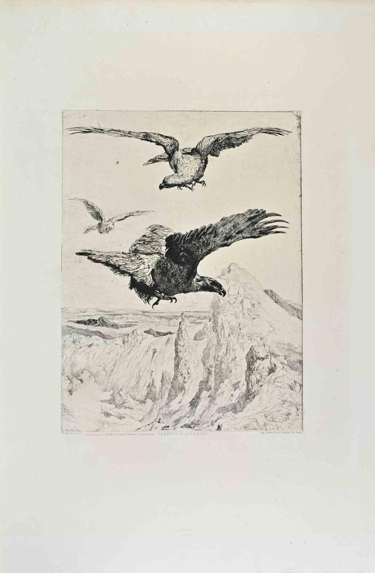 Sommets d'Auvergnelaure is a black and white etching realized by Jules Laurens (1825–1901) in 1870s.

Titled in the lower.

Image size: 23cmx30.5cm.

Very Good condition.

Signed in the lower left.

Realized by Cadart for the "Société des