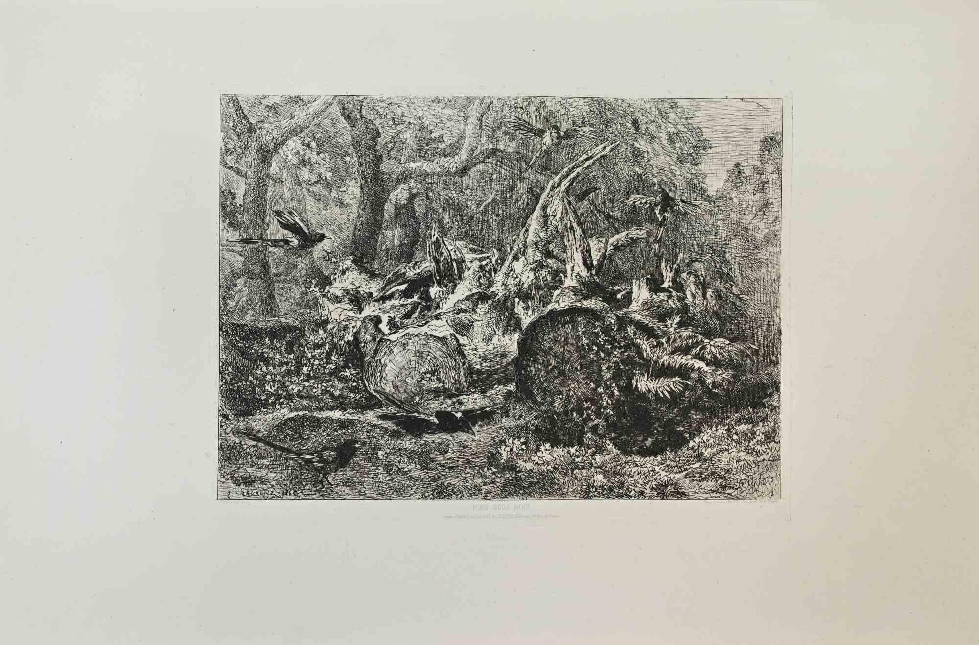 Pies Sous Bois ist eine Schwarz-Weiß-Radierung von Jules Laurens (1825-1901) aus den 1870er Jahren.

Im unteren Bereich betitelt.

Bildgröße: 23cmx31cm.

Sehr guter Zustand.

Signiert unten links.

Realisiert von Cadart für die "Société des