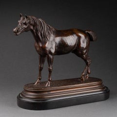 Jules Moigniez : Patinated bronze of an Arabian horse - C. 1880