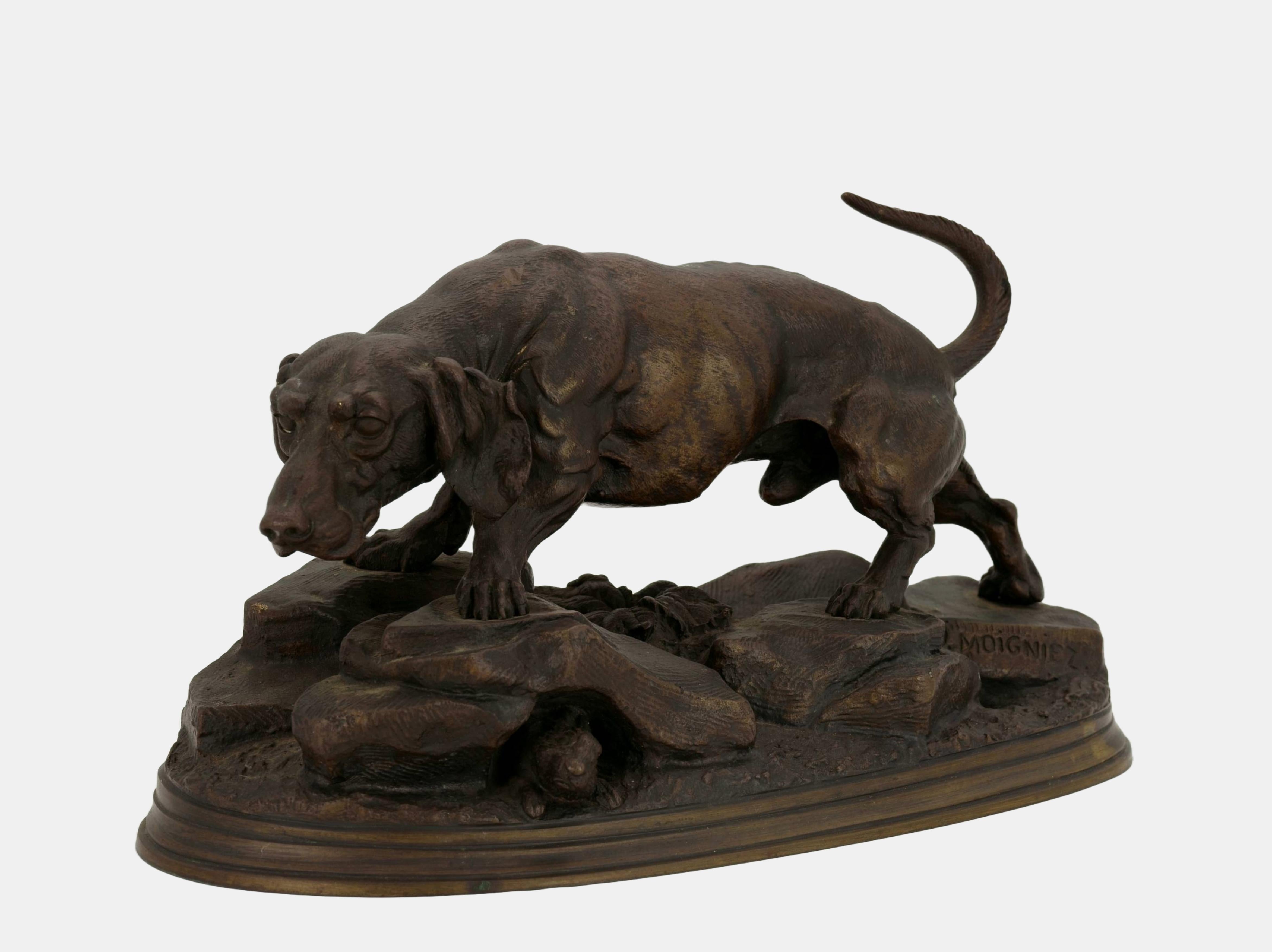 Hunting dog on the prowl / - Following the scent - - Sculpture by Jules Moigniez
