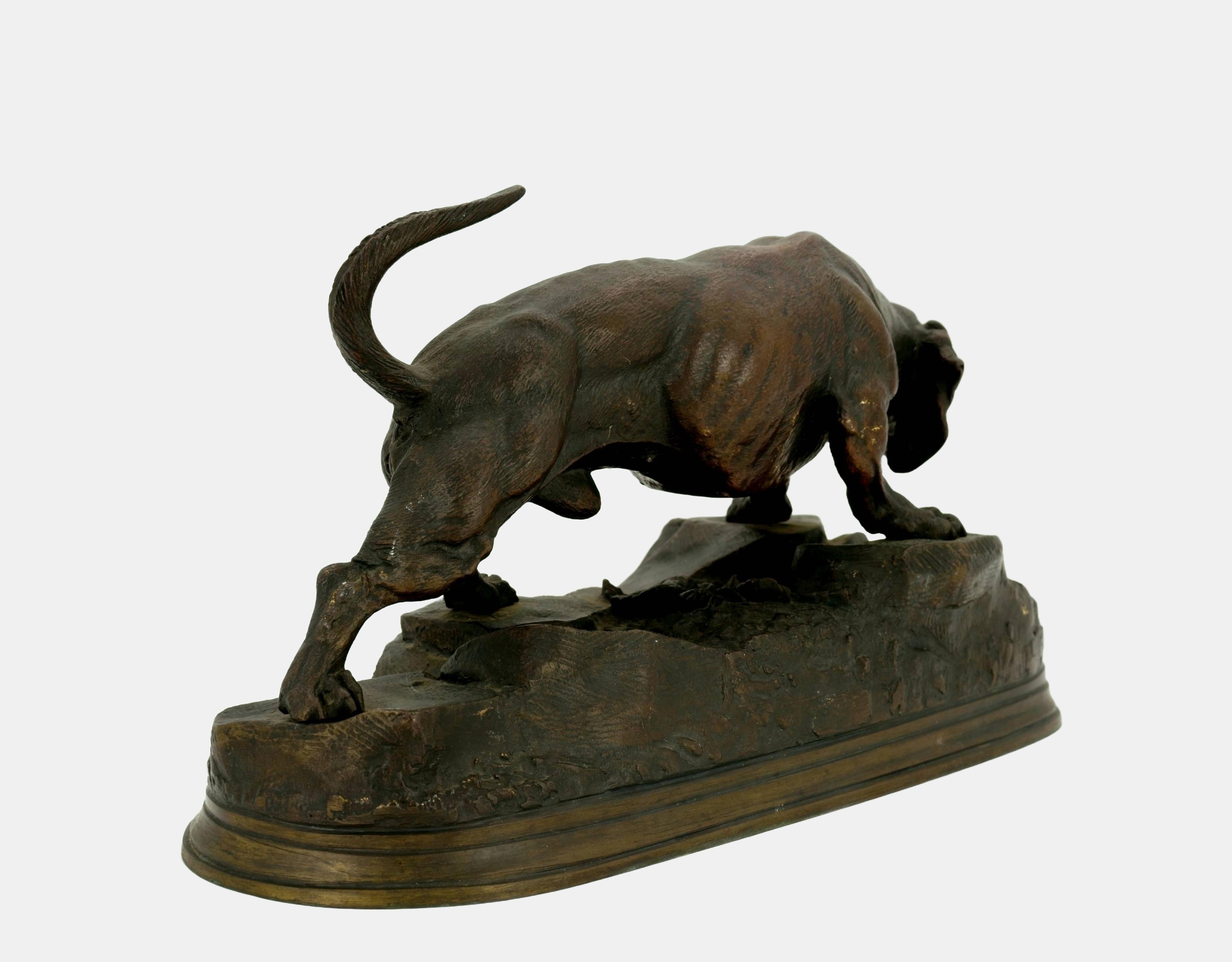 Hunting dog on the prowl / - Following the scent - For Sale 1