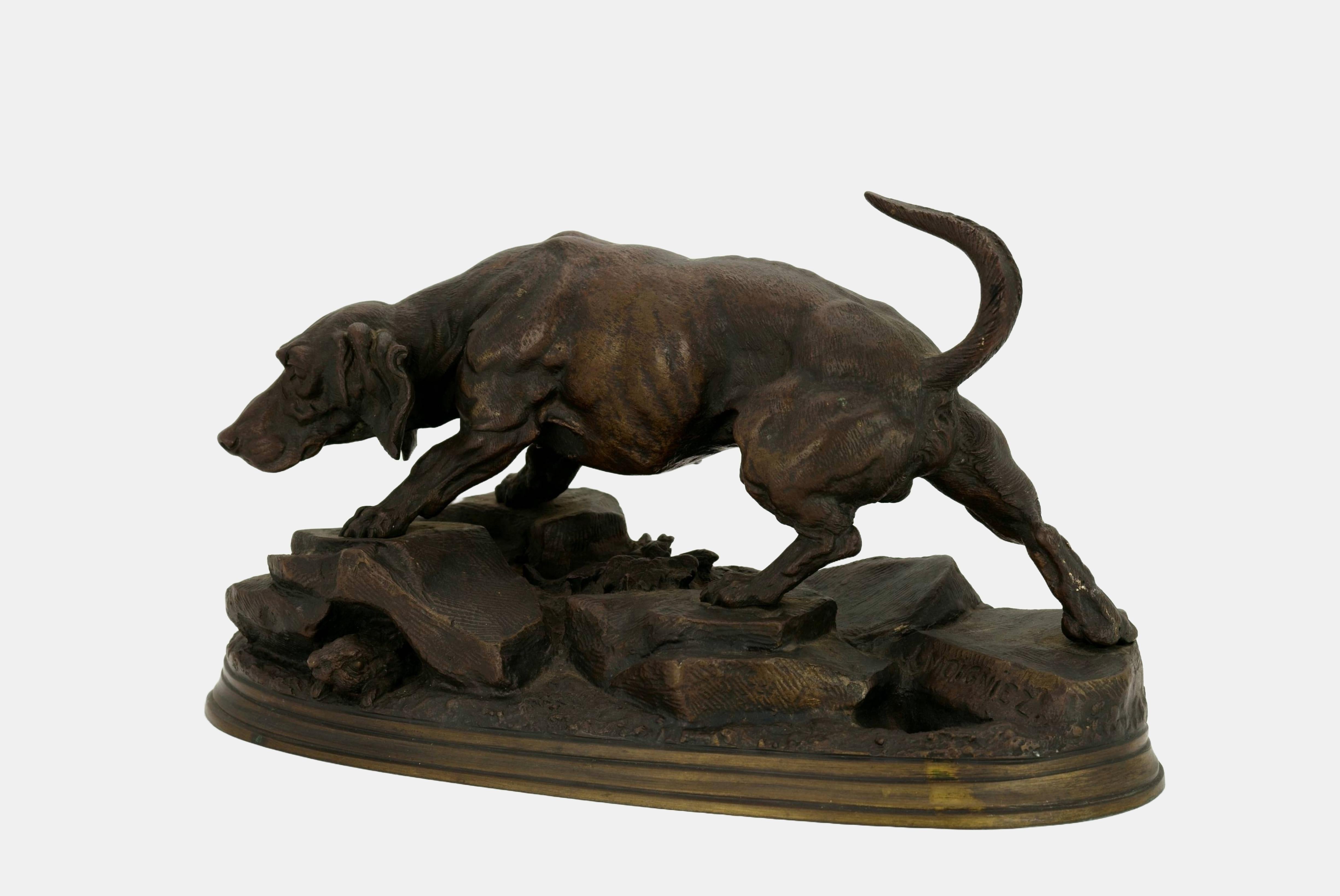 Hunting dog on the prowl / - Following the scent - For Sale 3