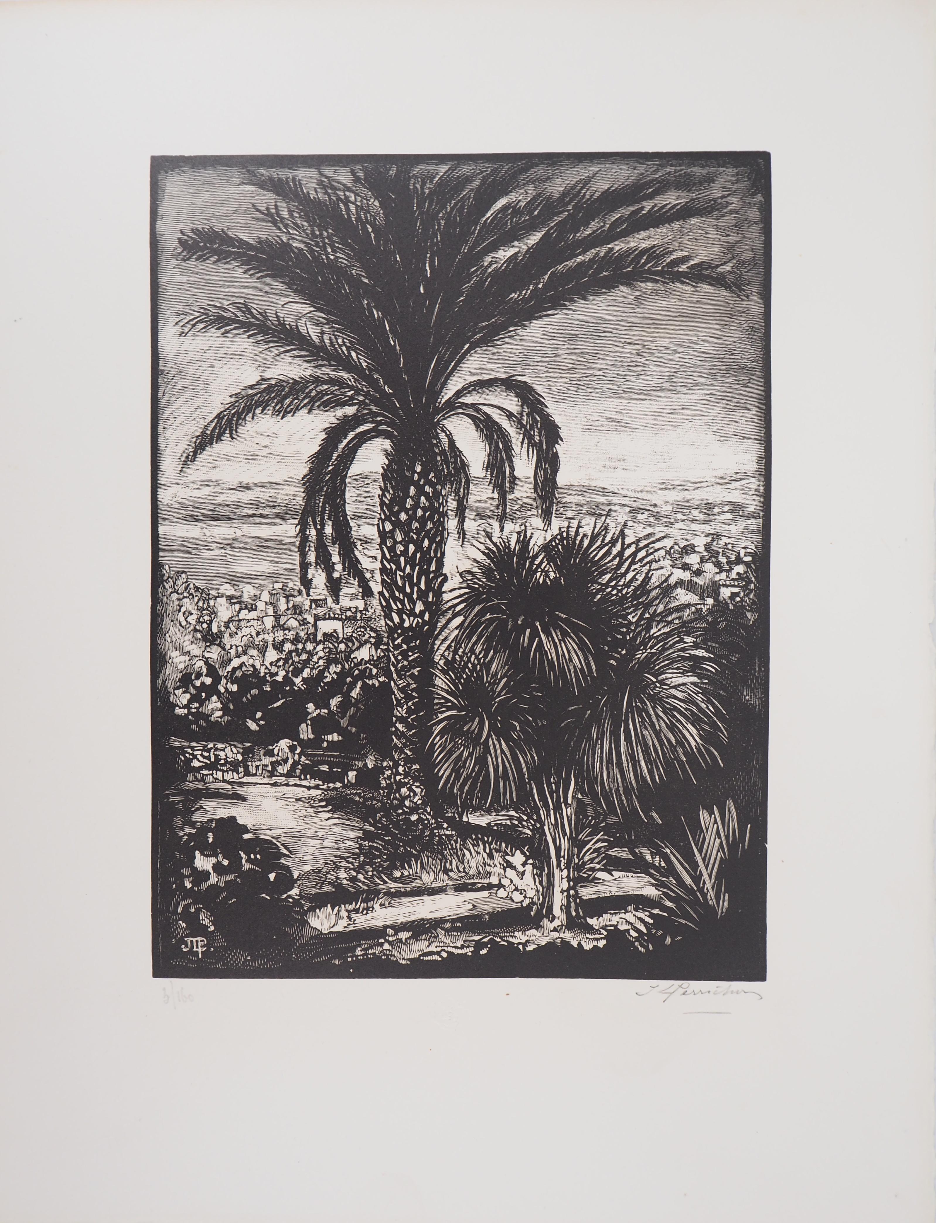 Cannes : Vista dal Parco della California - Legno originale, firmato - Print di Jules PERRICHON