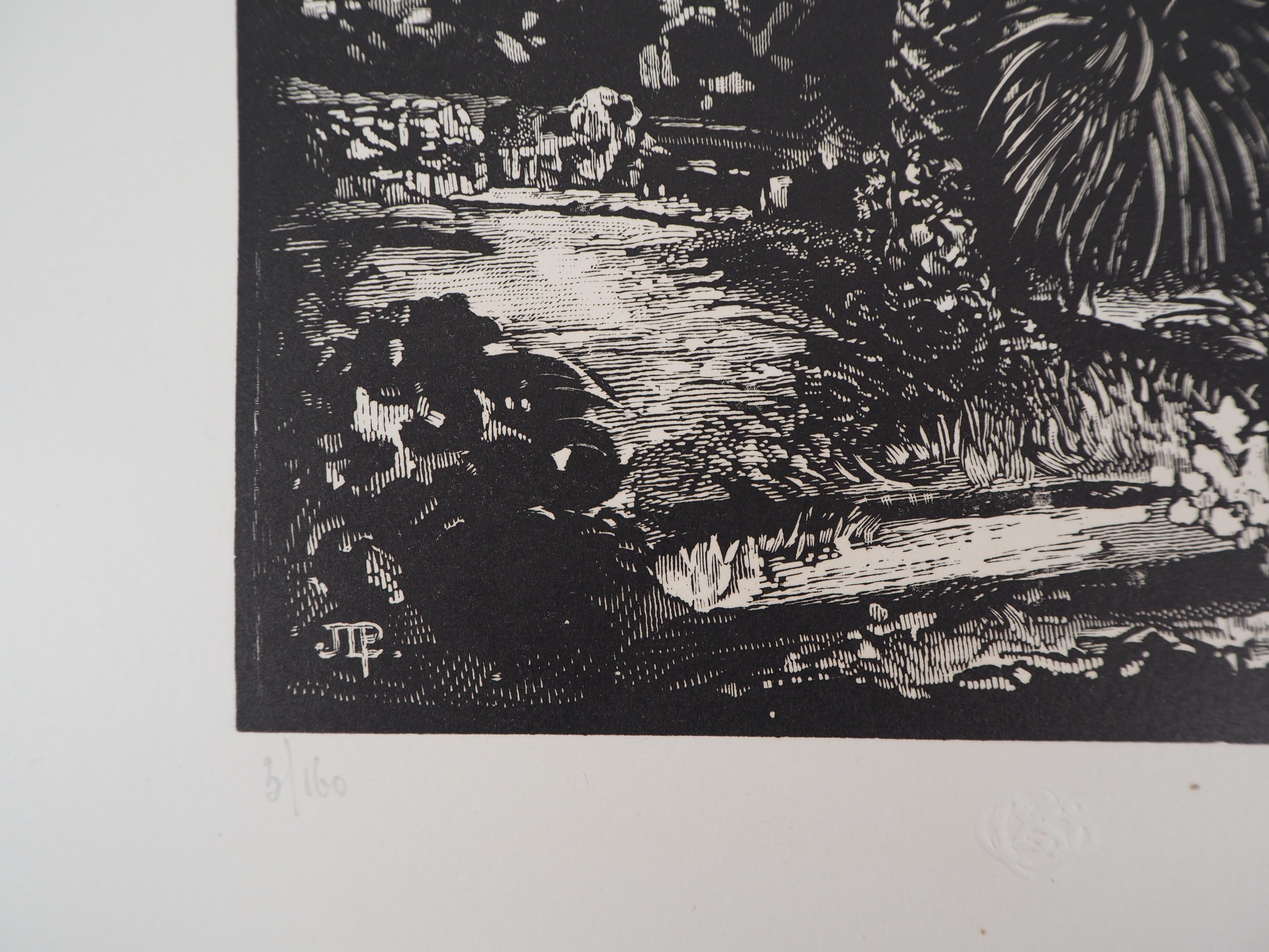 Cannes : Vista dal Parco della California - Legno originale, firmato - Landscape Print Grigio di Jules PERRICHON