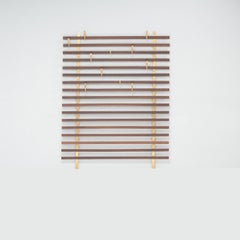 Jules Wabbes for Bulo Horizon Wenge Wood and Brass Coat Rack, 1950s