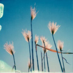 All That Matters - Contemporary, Polaroid, 21st Century, Photography, Landscape