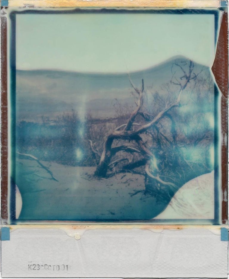 Desert Dream – basiert auf 2 Polaroids (Zeitgenössisch Photograph) von Julia Beyer