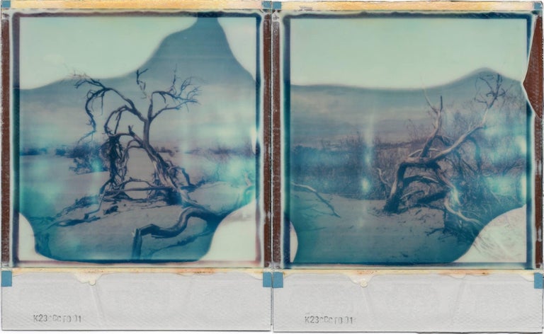 Julia Beyer Color Photograph – Desert Dream – basiert auf 2 Polaroids