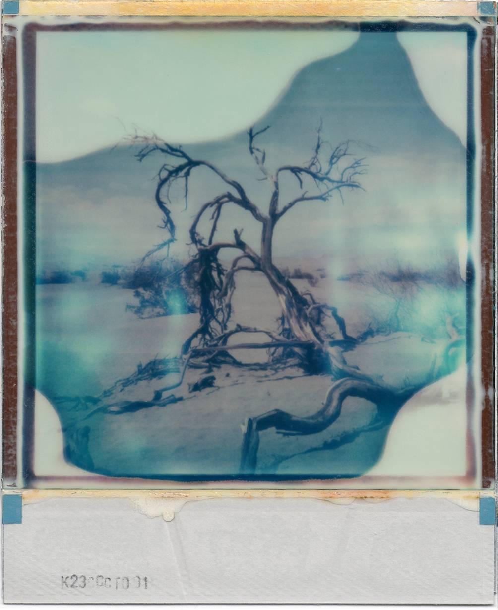 Desert Dream - Contemporary, 21st Century, Polaroid, Landscape - Photograph by Julia Beyer