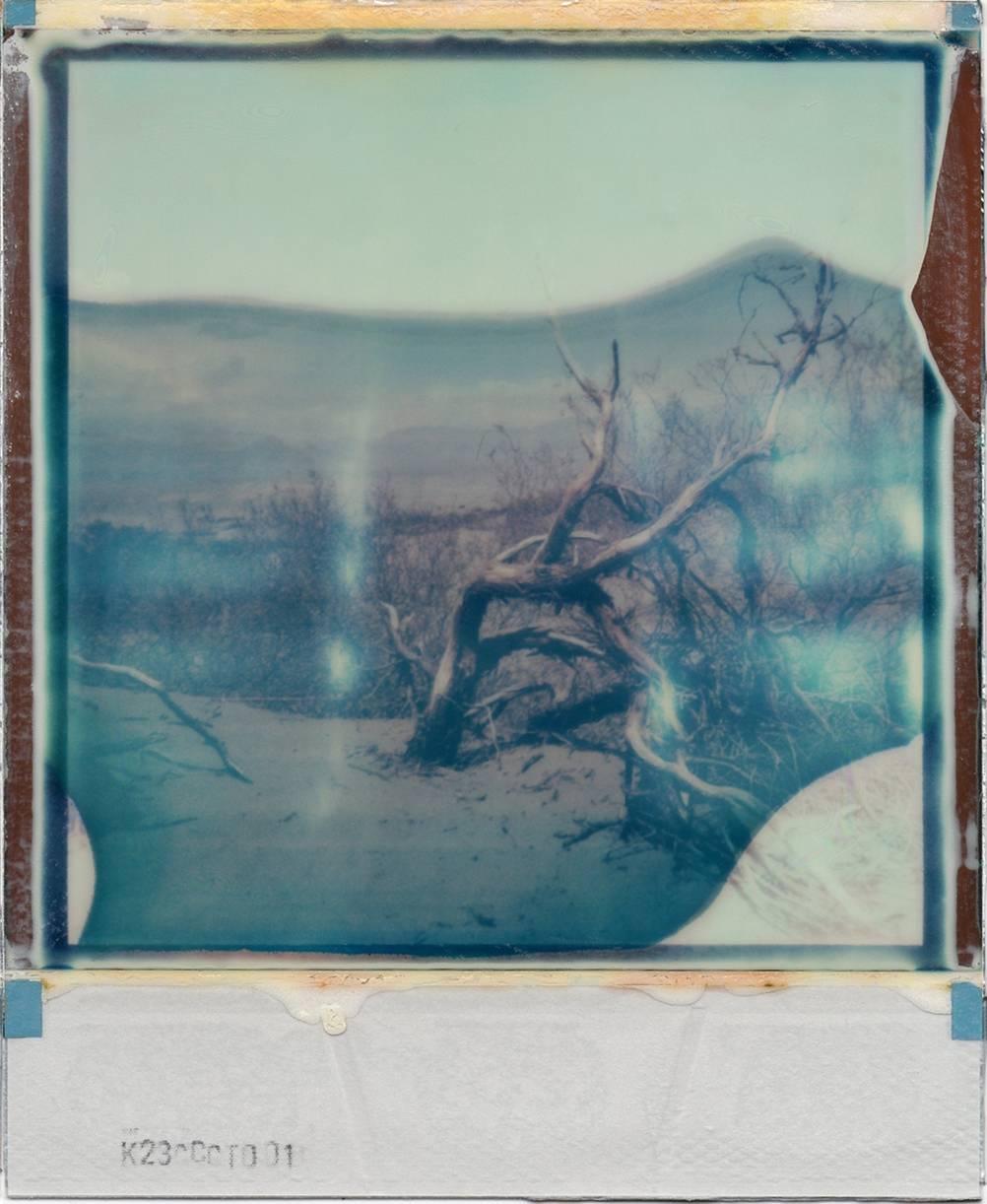 Desert Dream - Contemporary, 21st Century, Polaroid, Landscape - Gray Color Photograph by Julia Beyer