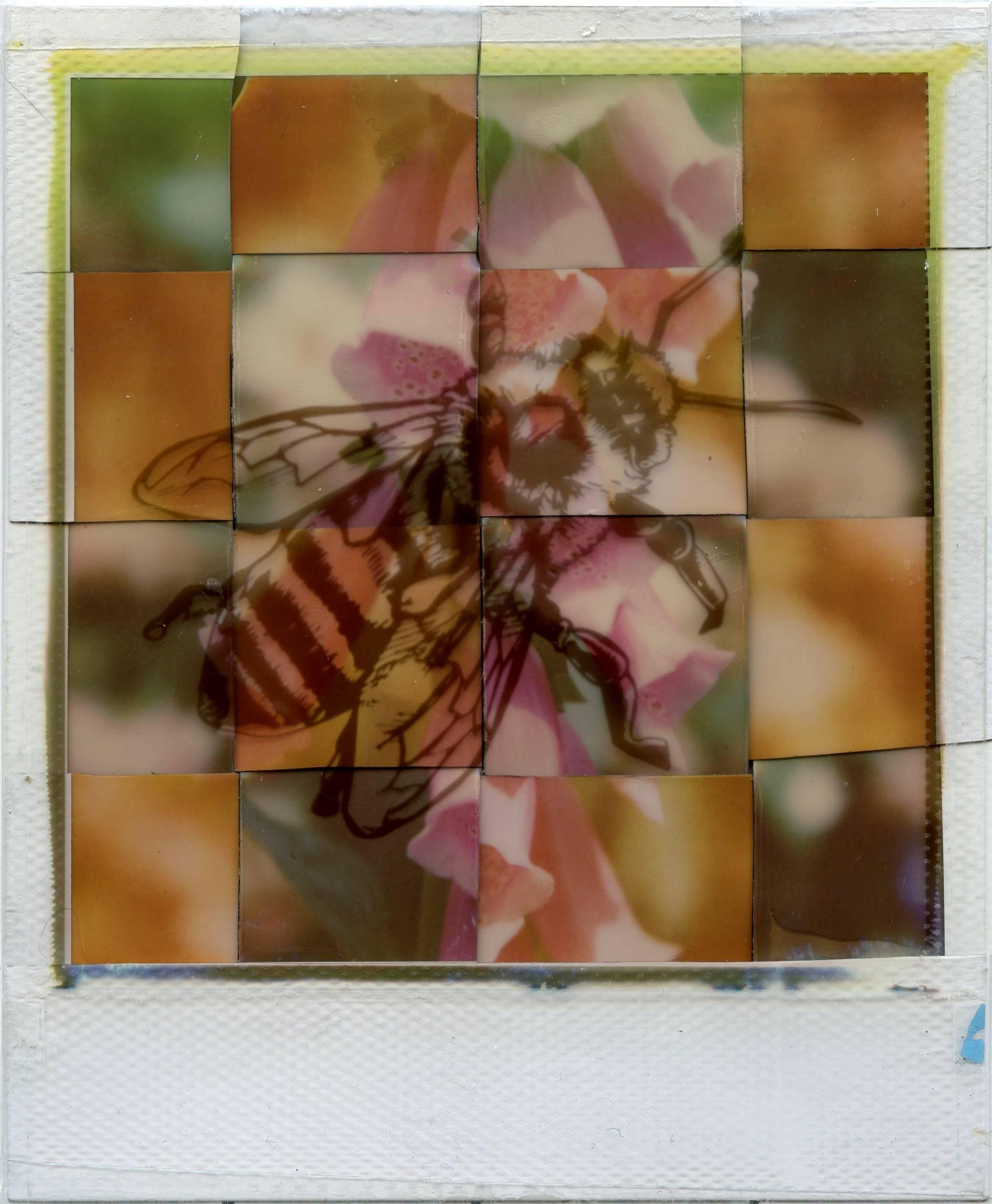 Generation A, 21st Century, Polaroid, Nature Photography, Contemporary, Bee - Mixed Media Art by Julia Beyer