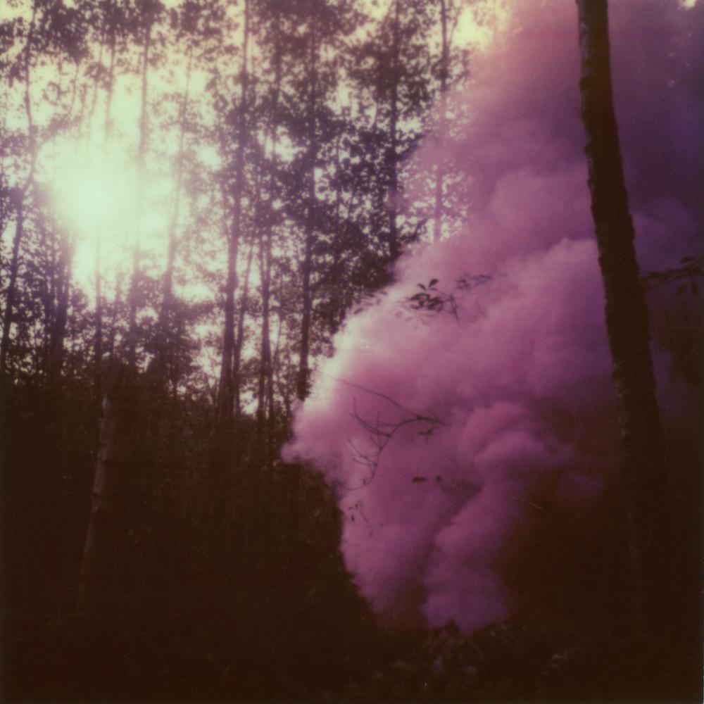 Julia Beyer Landscape Photograph - Into The Woods We Ran - (Forever and Ever) - Polaroid, 21st Century, Forest