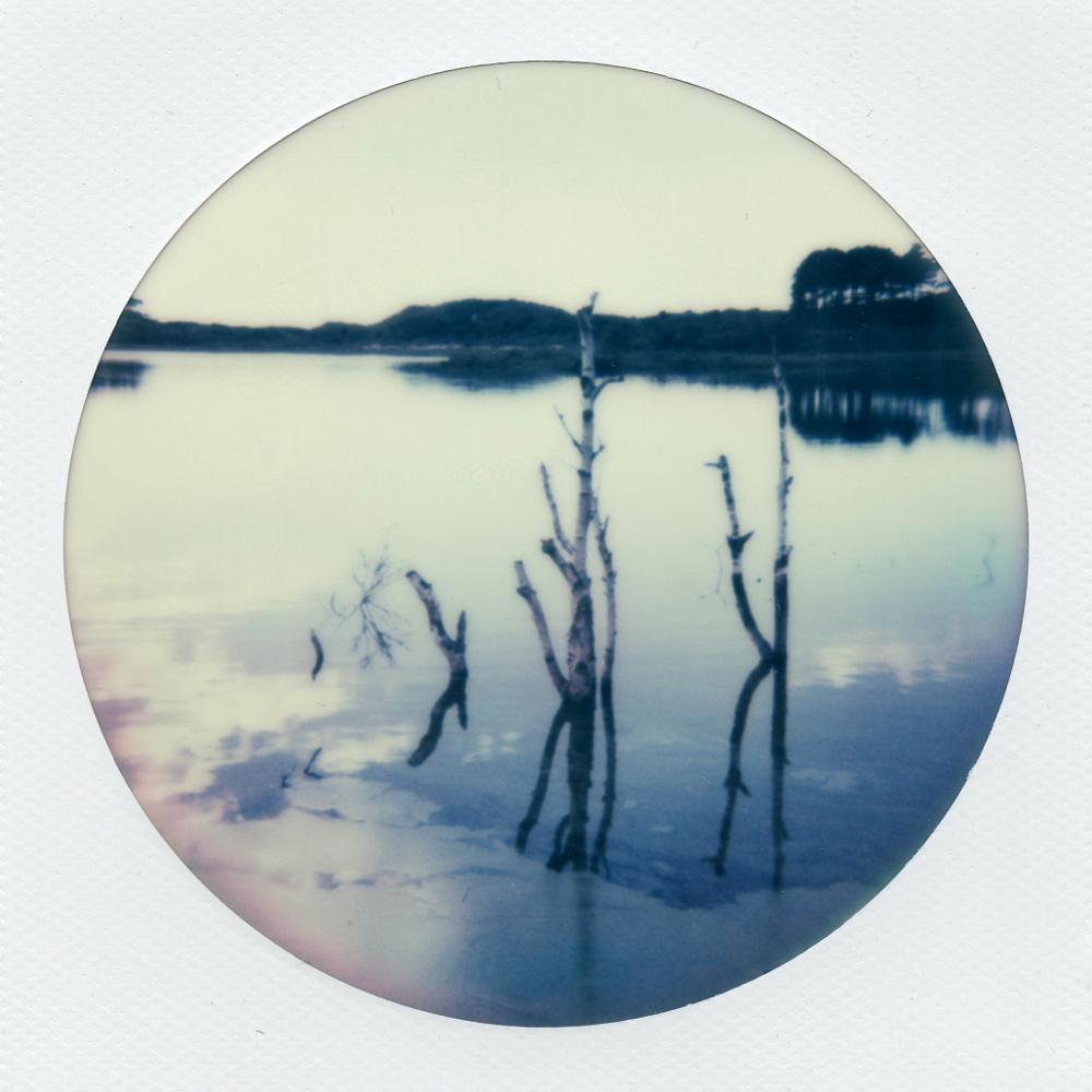 Reflektionen – Zeitgenössisch, Polaroid, 21. Jahrhundert, Landschaft