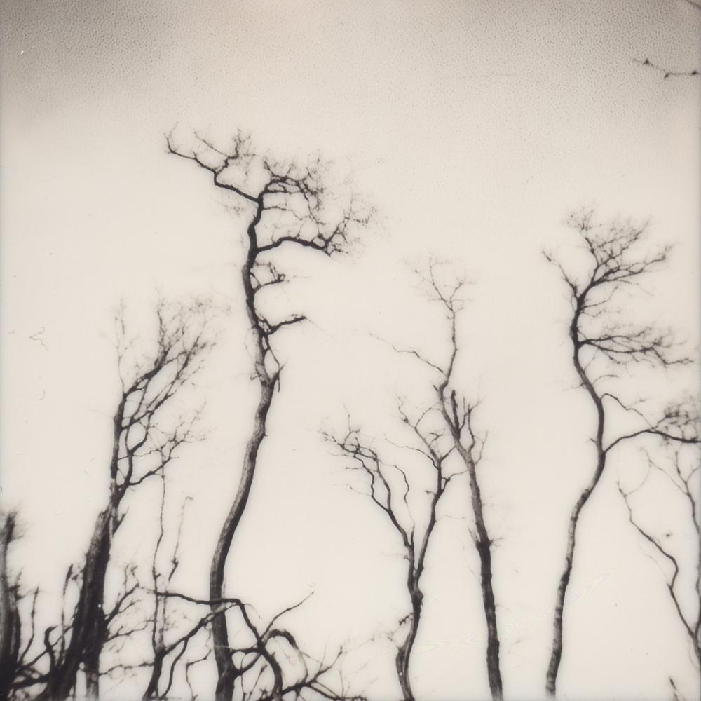 Julia Beyer Black and White Photograph - Spleen & Ideal - Contemporary, Polaroid, 21st Century, Photography, Landscape