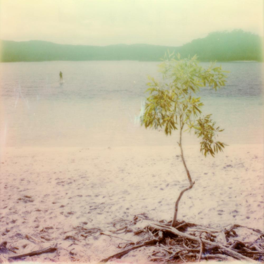Julia Beyer Color Photograph - Summer-Blink - Contemporary, Polaroid, 21st Century, Photography, Landscape