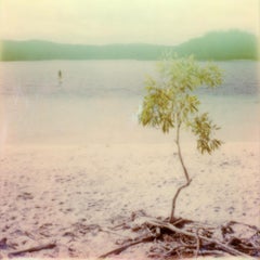 Summer-Blink - Contemporary, Polaroid, 21st Century, Photography, Landscape