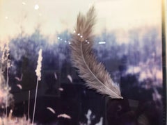 The Trick Is To Keep Breathing - Polaroid, Contemporary, Environmental, Future