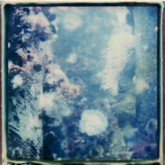 Underwater Love - Contemporary, Polaroid, 21st Century, Landscape
