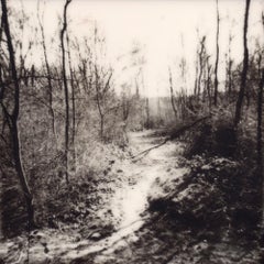 Wander And Get Lost - Contemporary, Polaroid, 21st Century, Landscape