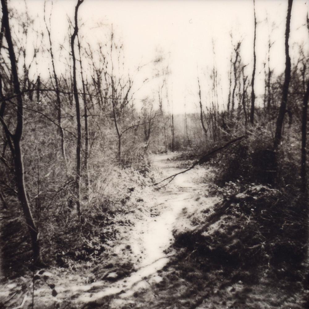 Julia Beyer Black and White Photograph - Wander And Get Lost - Contemporary, Polaroid, 21st Century, Landscape