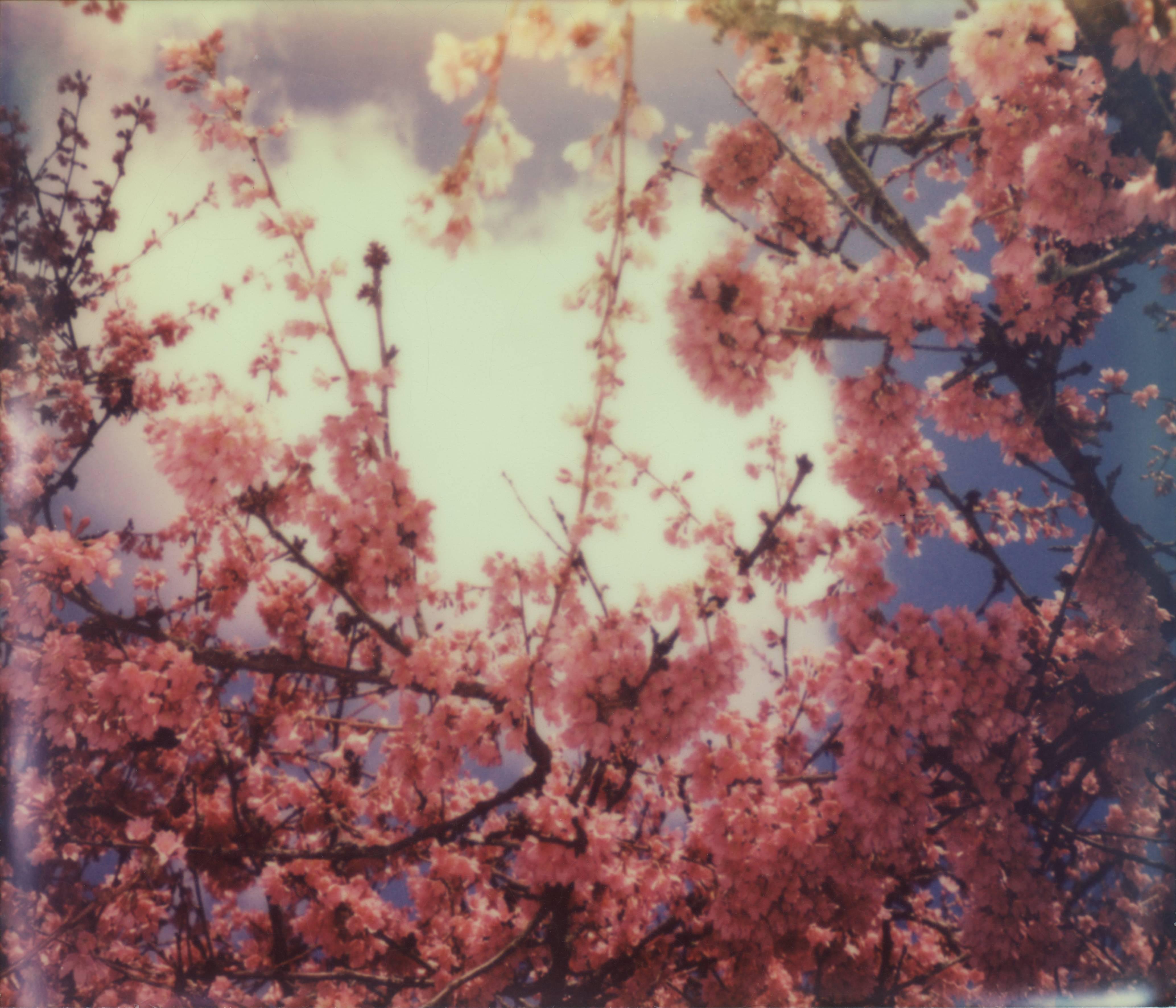 Julia Beyer Color Photograph - What Lies Beneath The Sky (Forever and Ever) - Polaroid, Contemporary, Color 