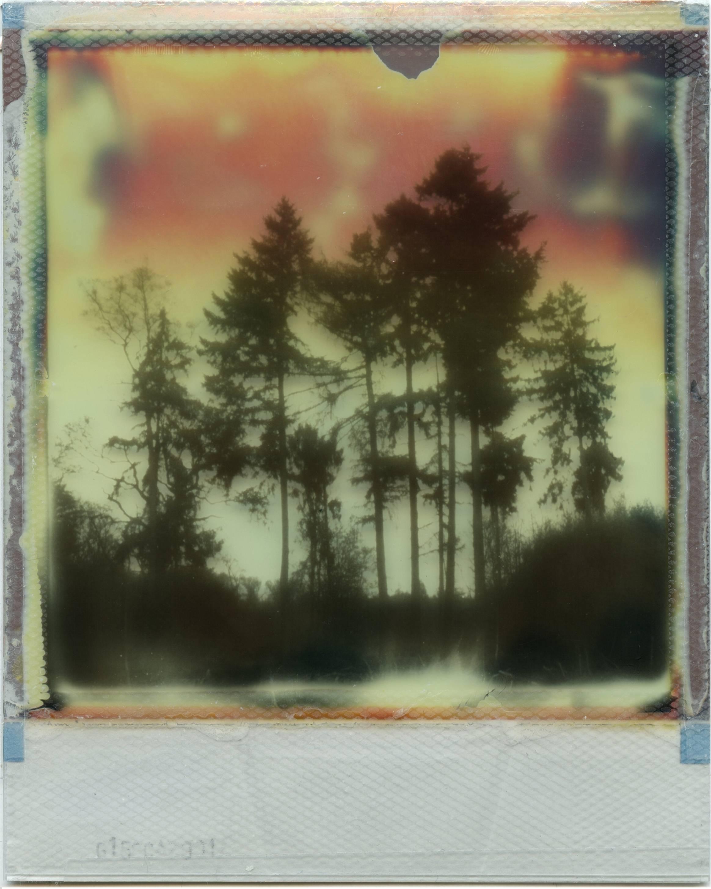 Où mon cœur appartient à moi - Polaroid, paysage, lutte, contemporain - Contemporain Photograph par Julia Beyer