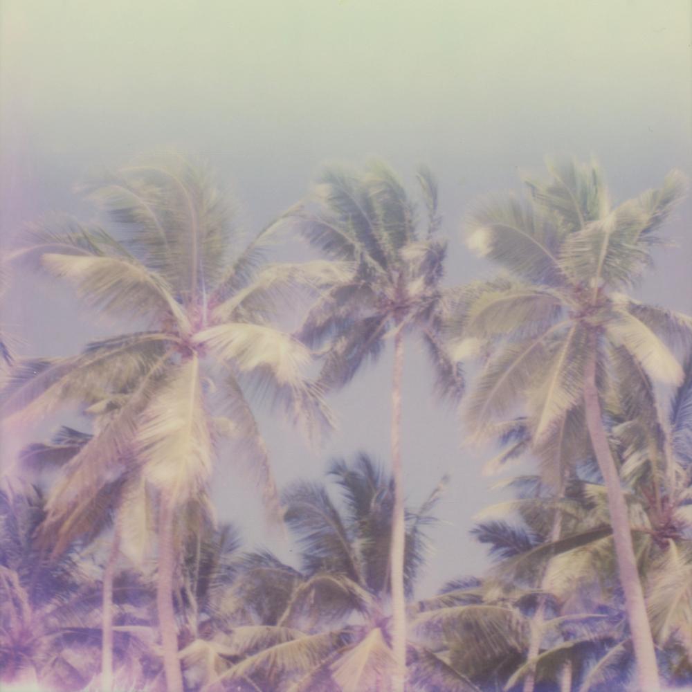 Julia Beyer Color Photograph - Where's The Black Smoke - Contemporary, Polaroid, 21st Century, Landscape