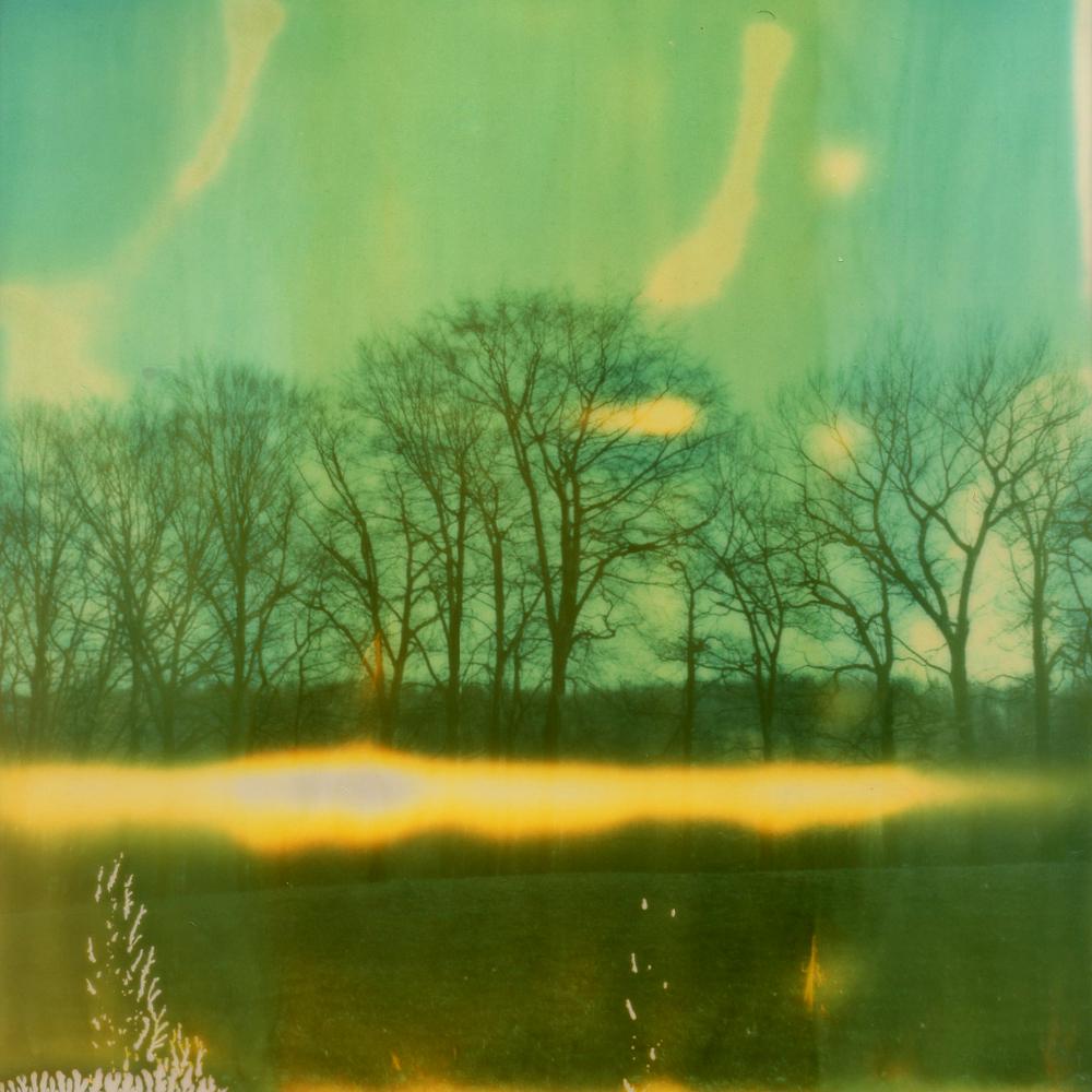Winterlandschaft - Zeitgenössisch, Polaroid, 21. Jahrhundert, Landschaft