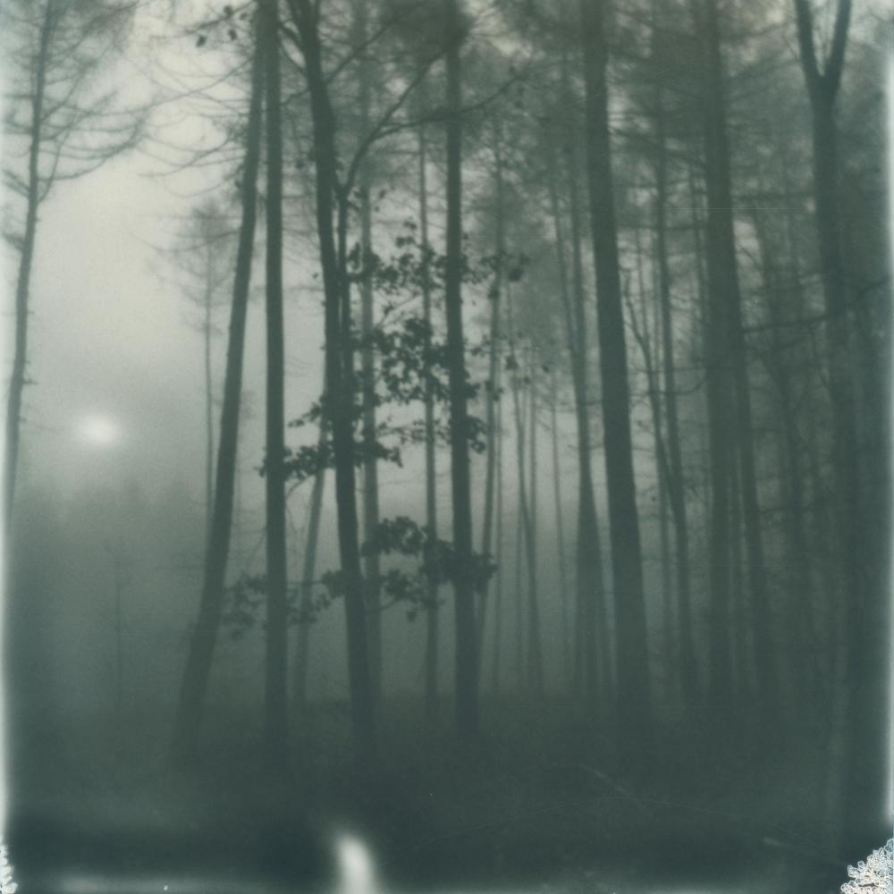 Julia Beyer Black and White Photograph - Winter's Solace - Contemporary, Polaroid, 21st Century, Photography, Landscape