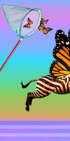 Butter Zebra - Psychedelic rainbow monarch butterfly zebra w/ lollipop & glasses