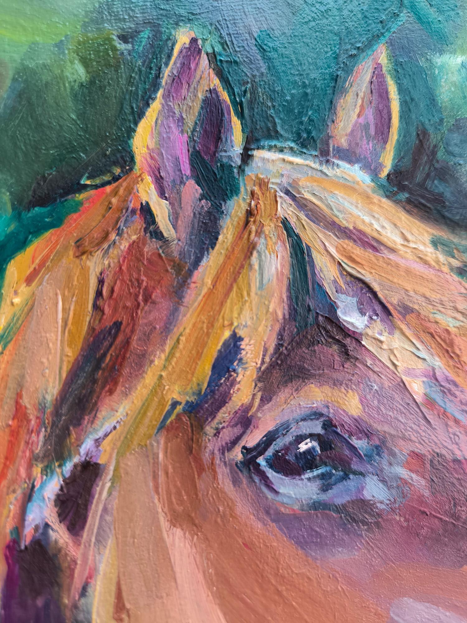 Cavallo 