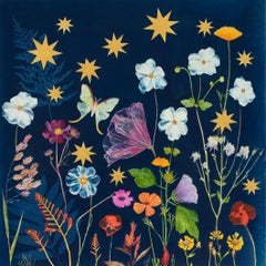 anemone julia Anemone, Stars, Luna Moth (Still Life Cyanotype Painting of Flowers on Indigo)