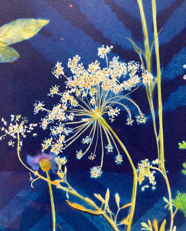 Botanical Stars (Still Life Figurative Painting of Flowers on Indigo Blue)  For Sale 3
