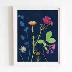 Cosmos, Queen Anne’s Lace: Still Life Painting of Flowers on Indigo Blue