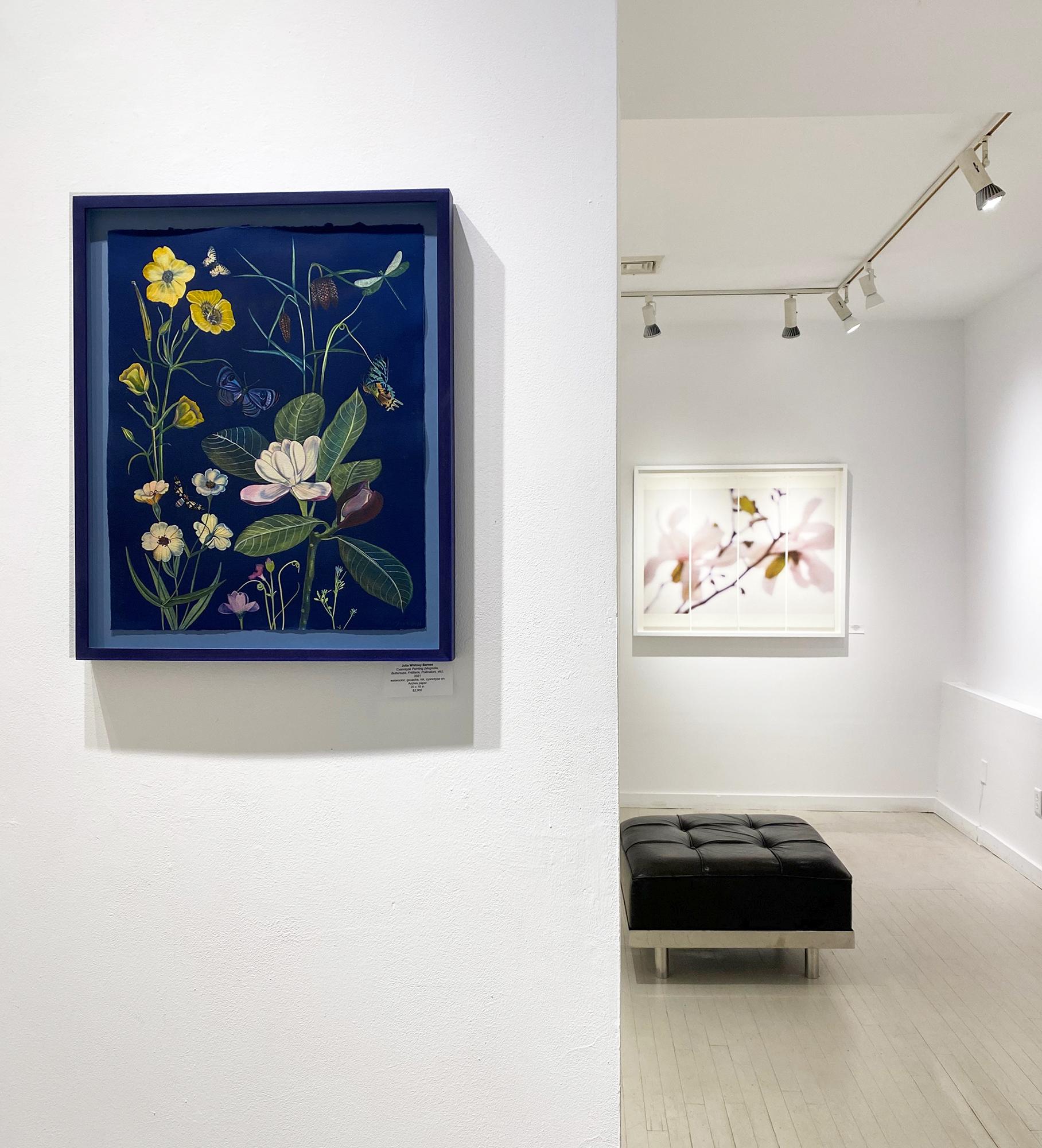 Julia Whitney Barnes - Cyanotype Painting in Indigo (Magnolia ...