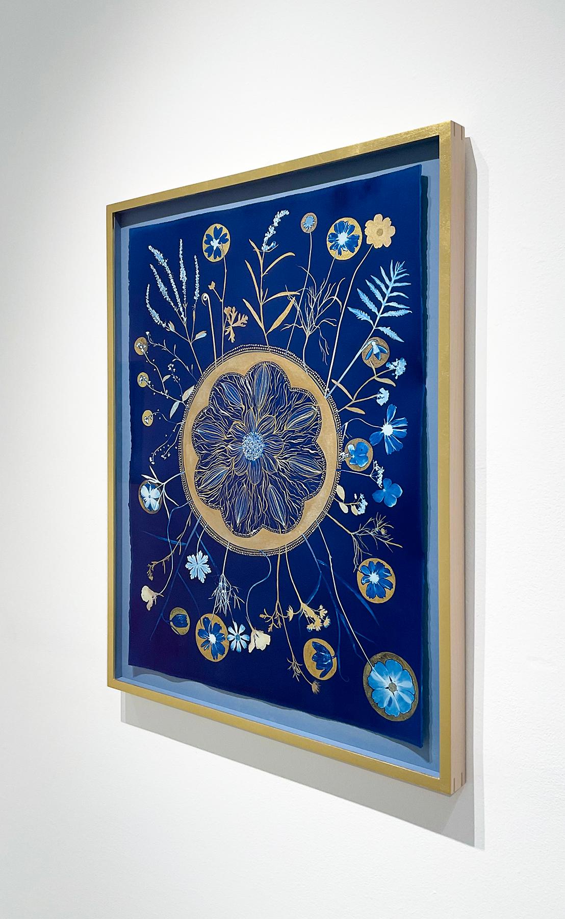 Flora Full Circle (Gold & Indigo Blue Cyanotype of Botanical Mandala, Framed)  - Painting by Julia Whitney Barnes