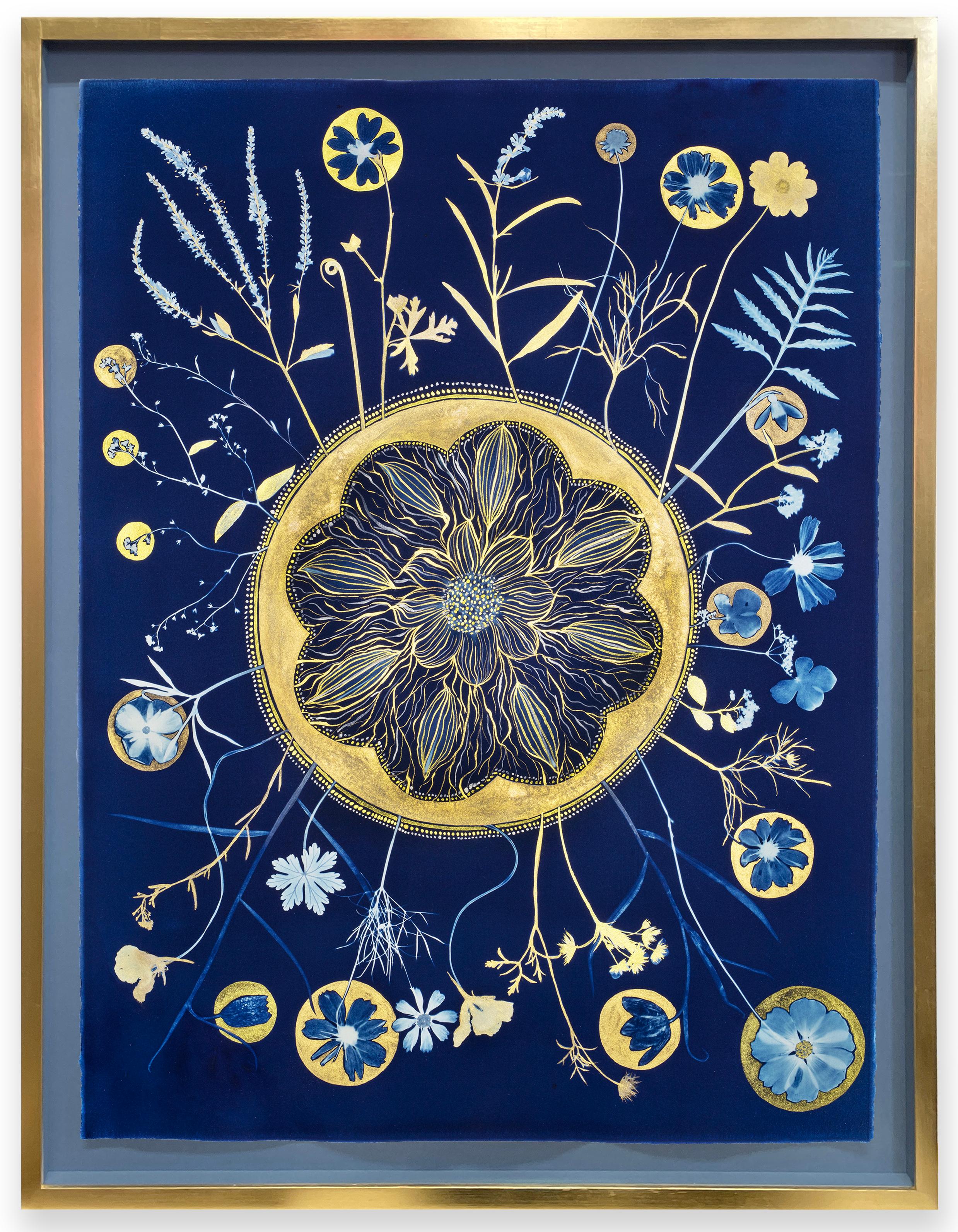 Julia Whitney Barnes Figurative Painting - Flora Full Circle (Gold & Indigo Blue Cyanotype of Botanical Mandala, Framed) 