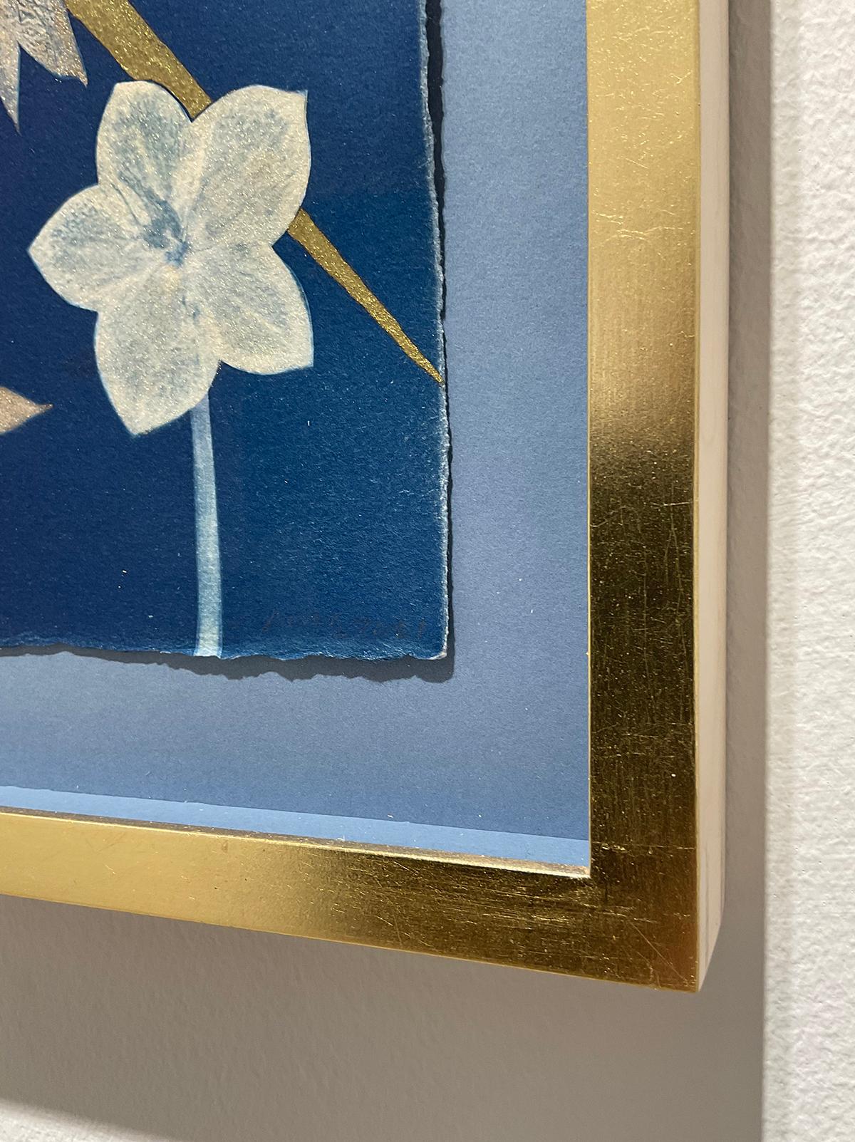 Hellebore, Étoile centrale « Still Life of Golden Sunburst », Fleurs blanches sur indigo - Bleu Figurative Painting par Julia Whitney Barnes