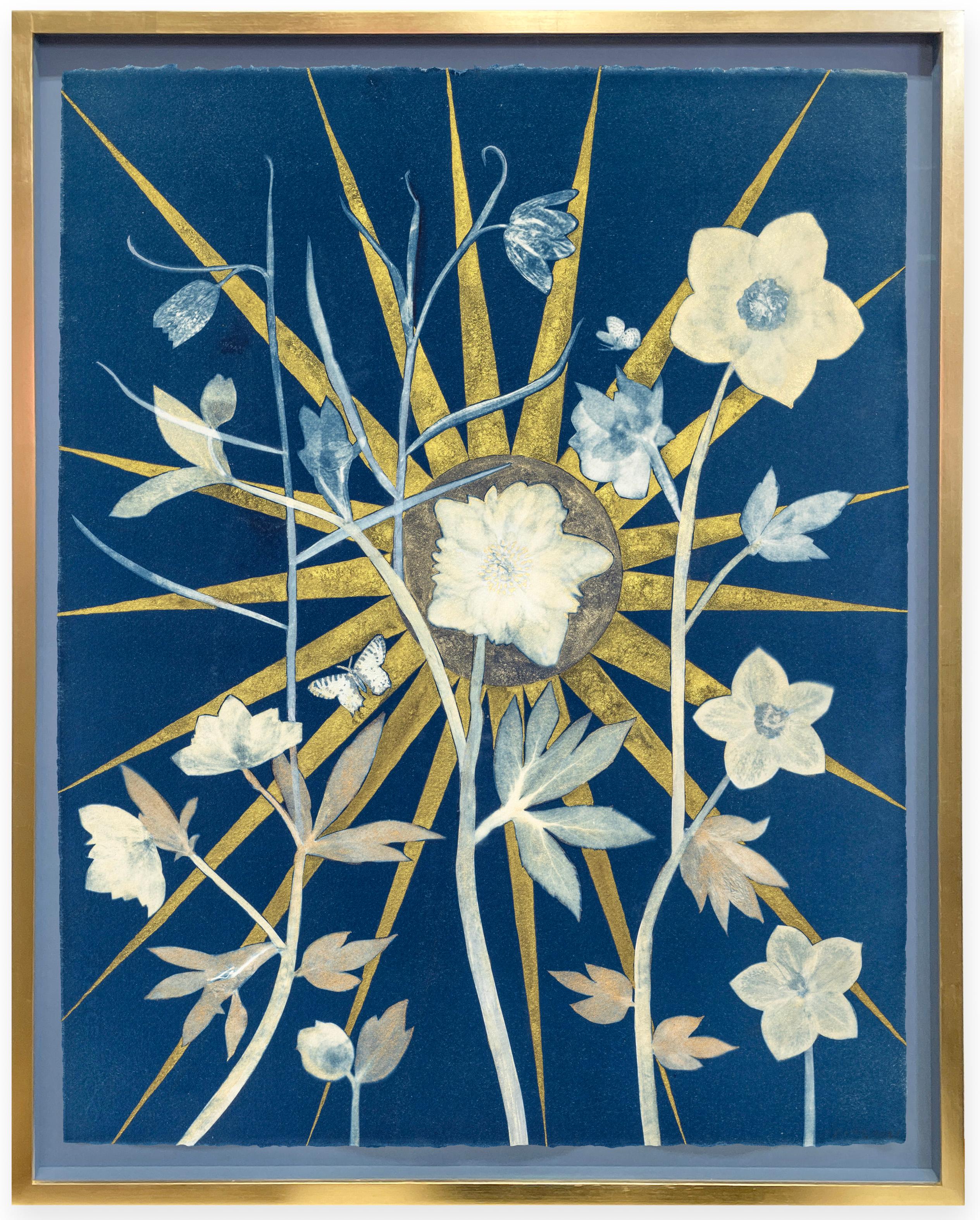 Figurative Painting Julia Whitney Barnes - Hellebore, Étoile centrale « Still Life of Golden Sunburst », Fleurs blanches sur indigo