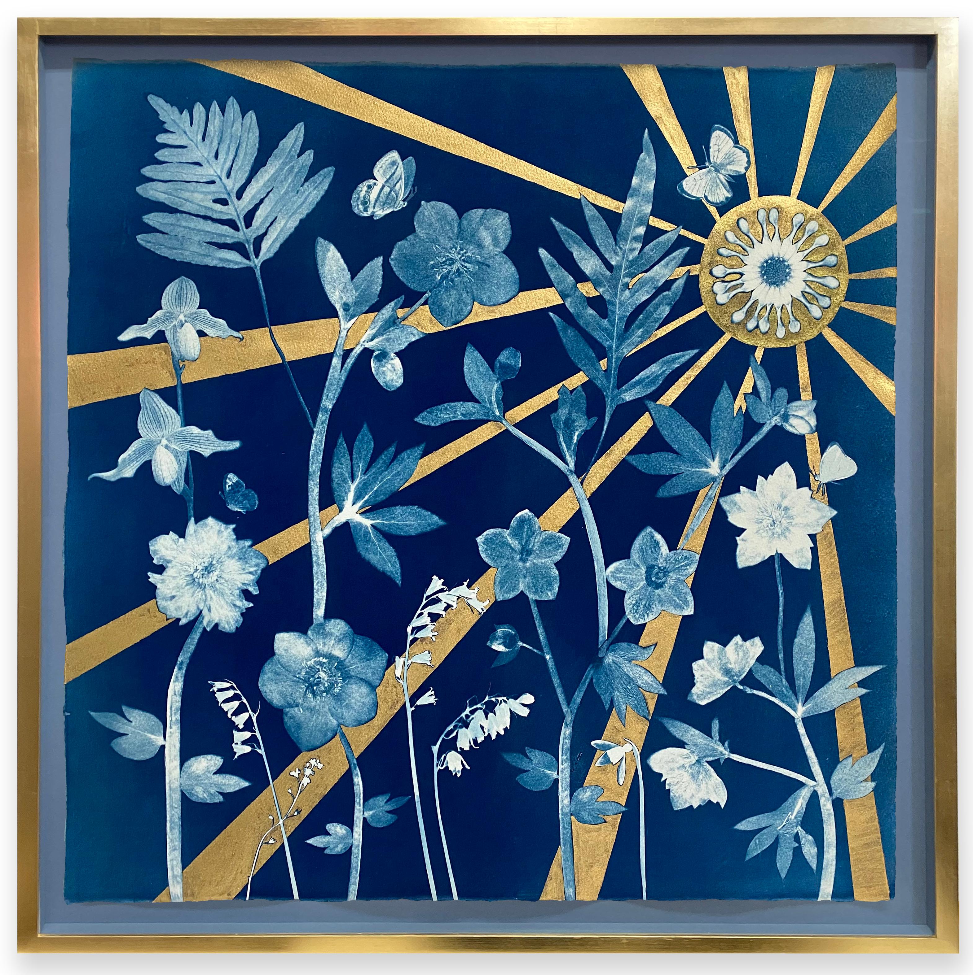 Julia Whitney Barnes Figurative Painting - Hellebore, Sun (Botanical Still Life Painting of Flowers & Gold Sun on Indigo) 