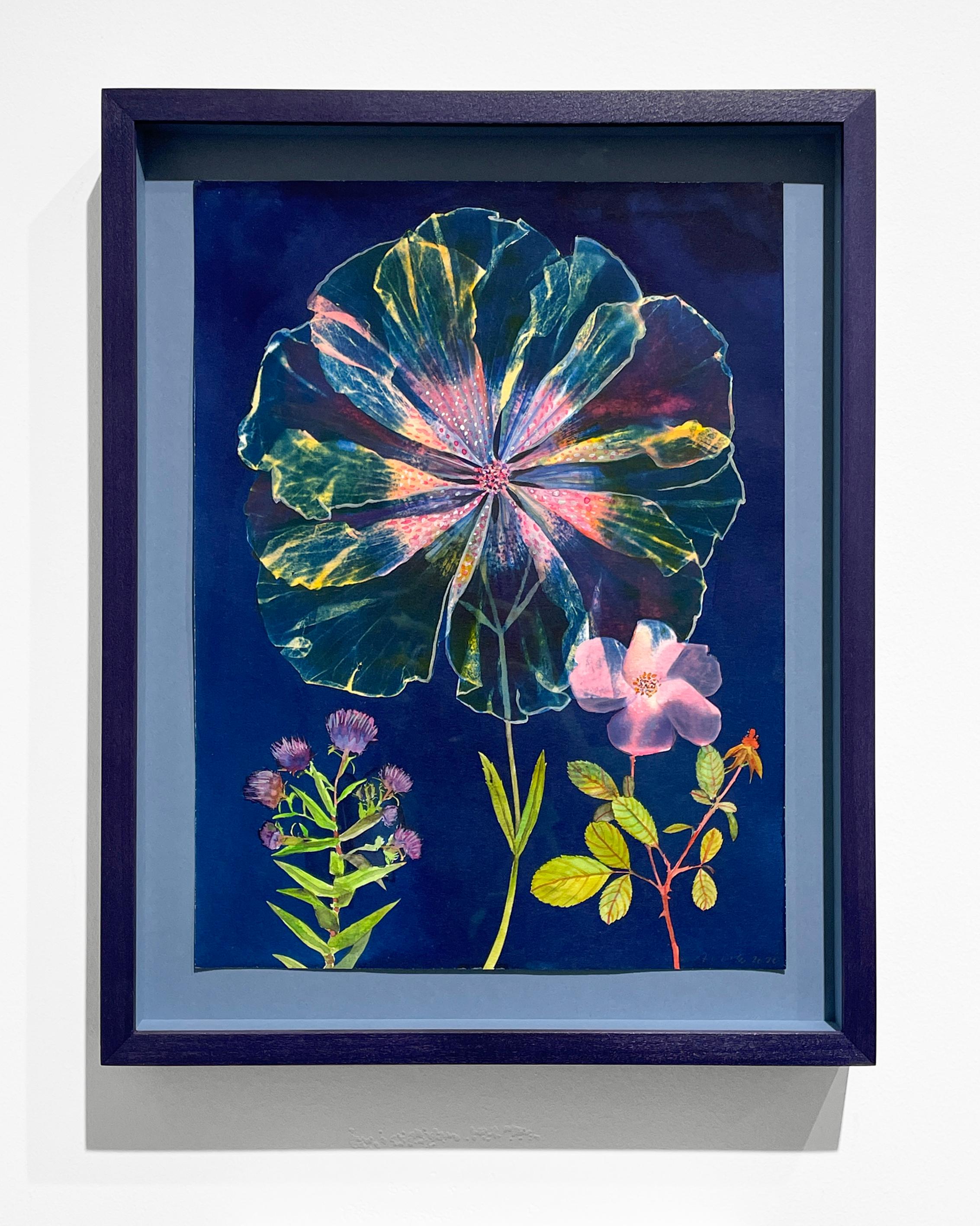 Nature notturne: Natura morta dipinta in cianotipia di ibisco e rosa su indaco - Painting di Julia Whitney Barnes
