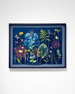 Nocturnal Nature (Painted Still Life Cyanotype of Colorful Flower on Indigo)