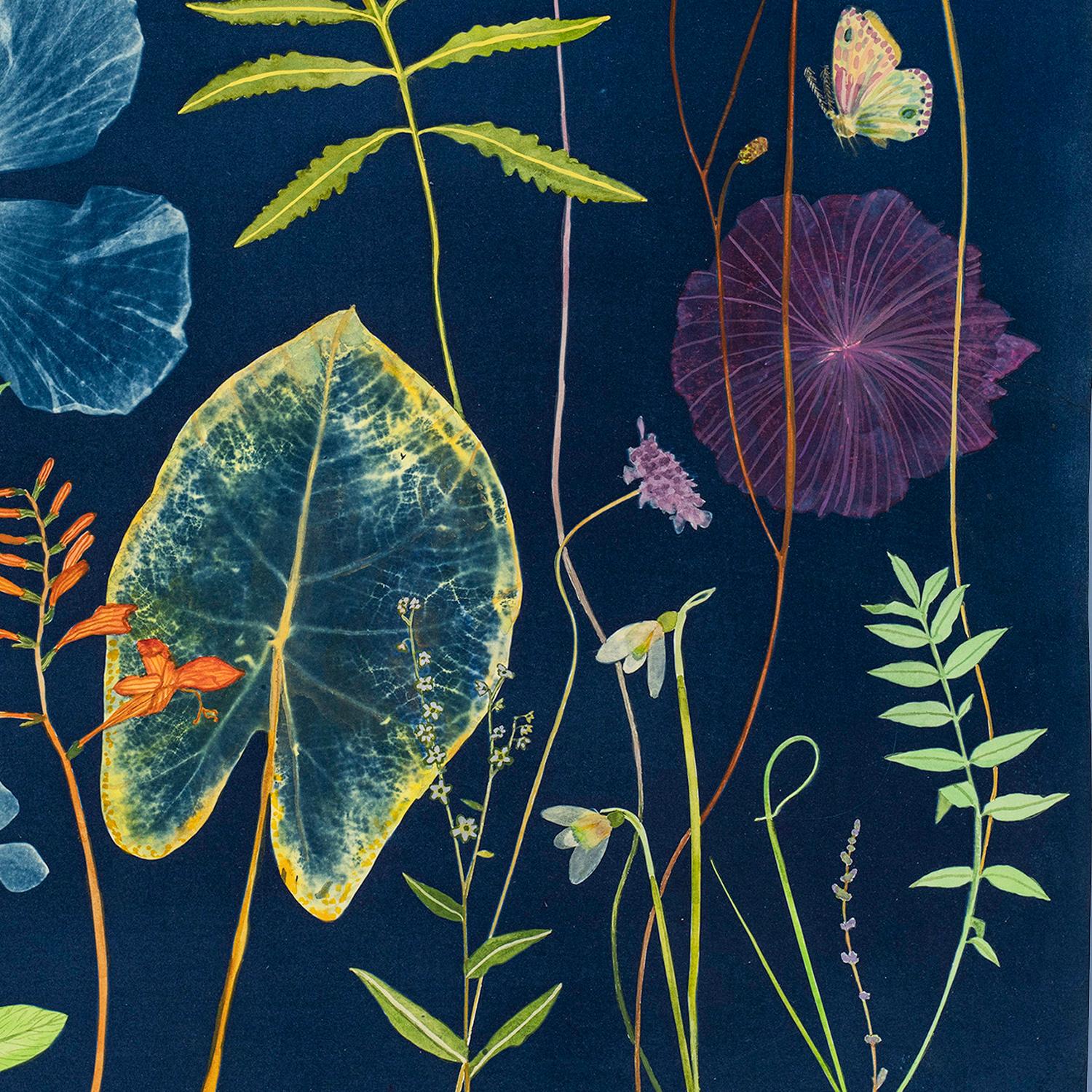 Handgemaltes Cyanotypie-Stillleben mit bunten Blumen und Plänen auf indigoblauem Hintergrund
Nocturnal Nature (Leaves, Snowdrops, Hibiscus, Ferns, Pollinators) - Cyanotypie von Julia Whitney Barnes
2024
Aquarell, Gouache, Tusche und Cyanotypie auf