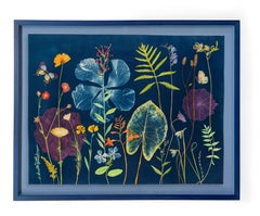 Nature notturne (Natura morta dipinta in cianotipia di fiori colorati su indaco)