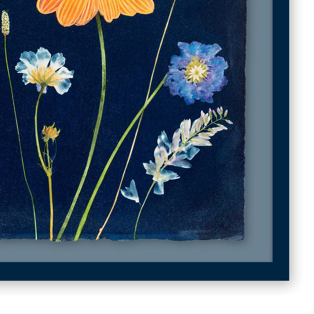 Realistisches Stillleben mit hellen Blumen auf dunklem Blau
Handgemalte Cyanotypie von Julia Whitney Barnes
