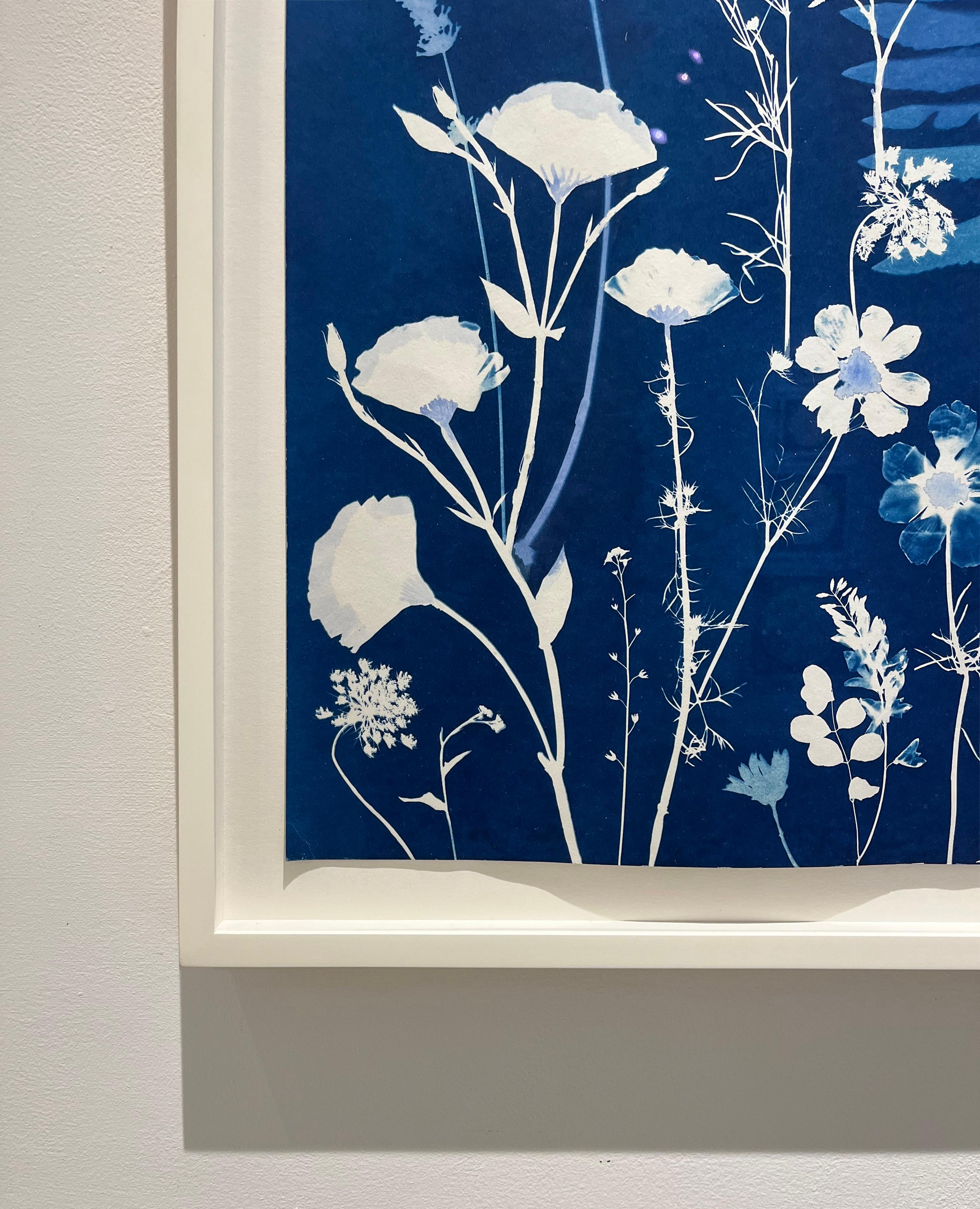Queen Anne's Lace (Cyanotype Still Life Painting by Julia Whitney Barnes) For Sale 3