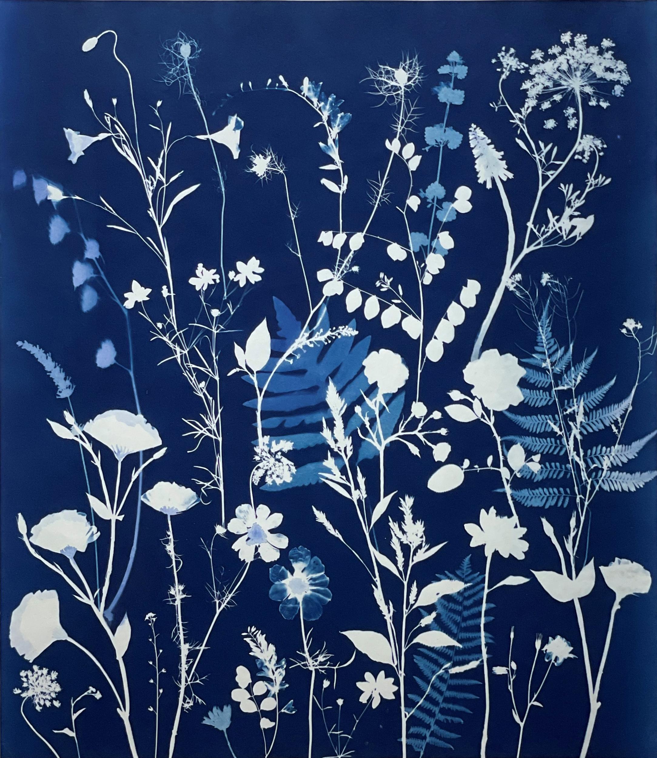 Nature morte figurative de fleurs bleu pâle et blanches sur fond de cyanotype indigo 
" Peinture cyanotype (dentelle de la reine Anne, fougères, feuilles, etc.), réalisée par l'artiste de la vallée de l'Hudson, Julia Whitney Barnes, en