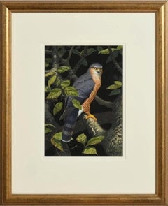 Julian Friers Irish Oil Painting on board Bird Falcon