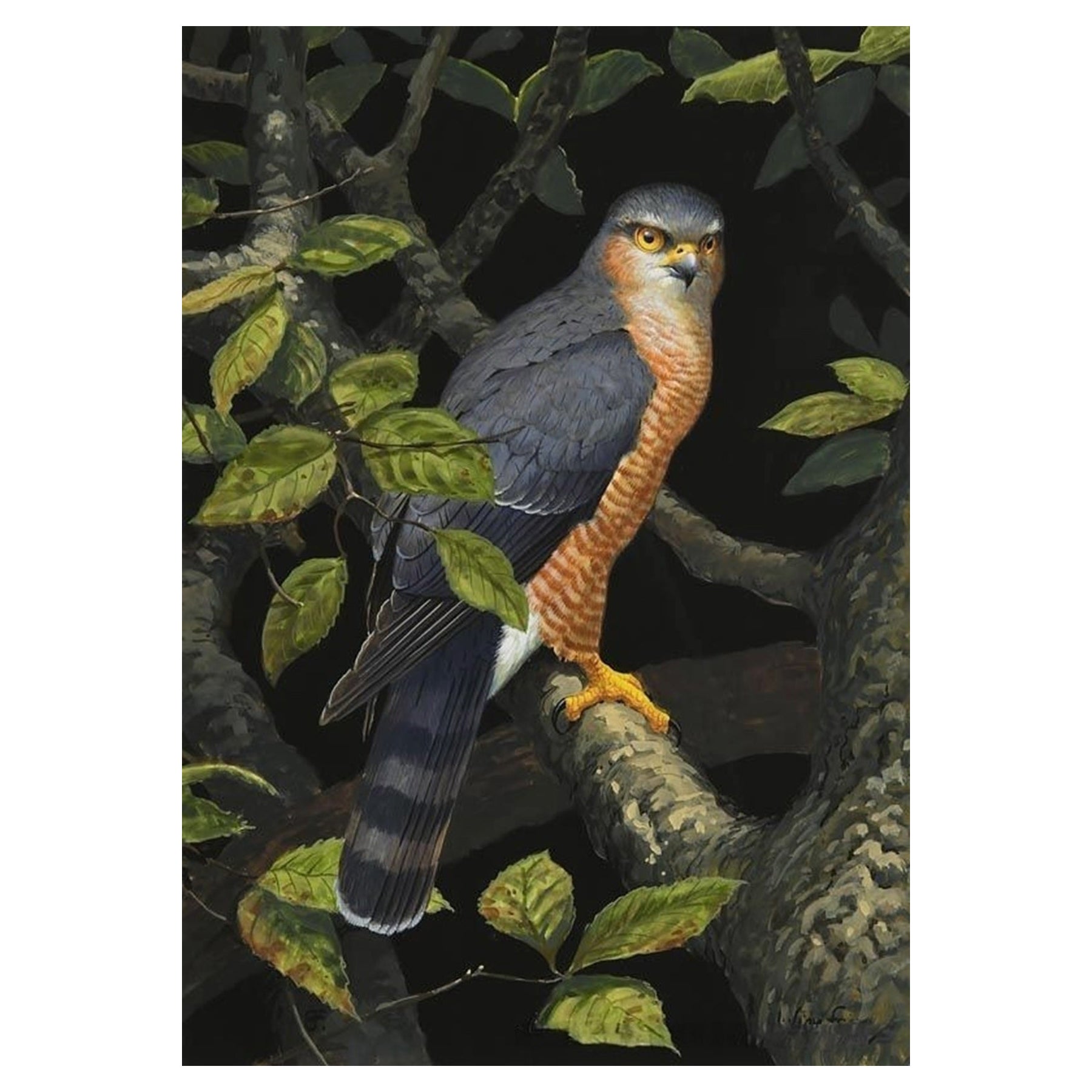 Julian Friers Irisches Ölgemälde auf Karton Vogelfalke im Angebot