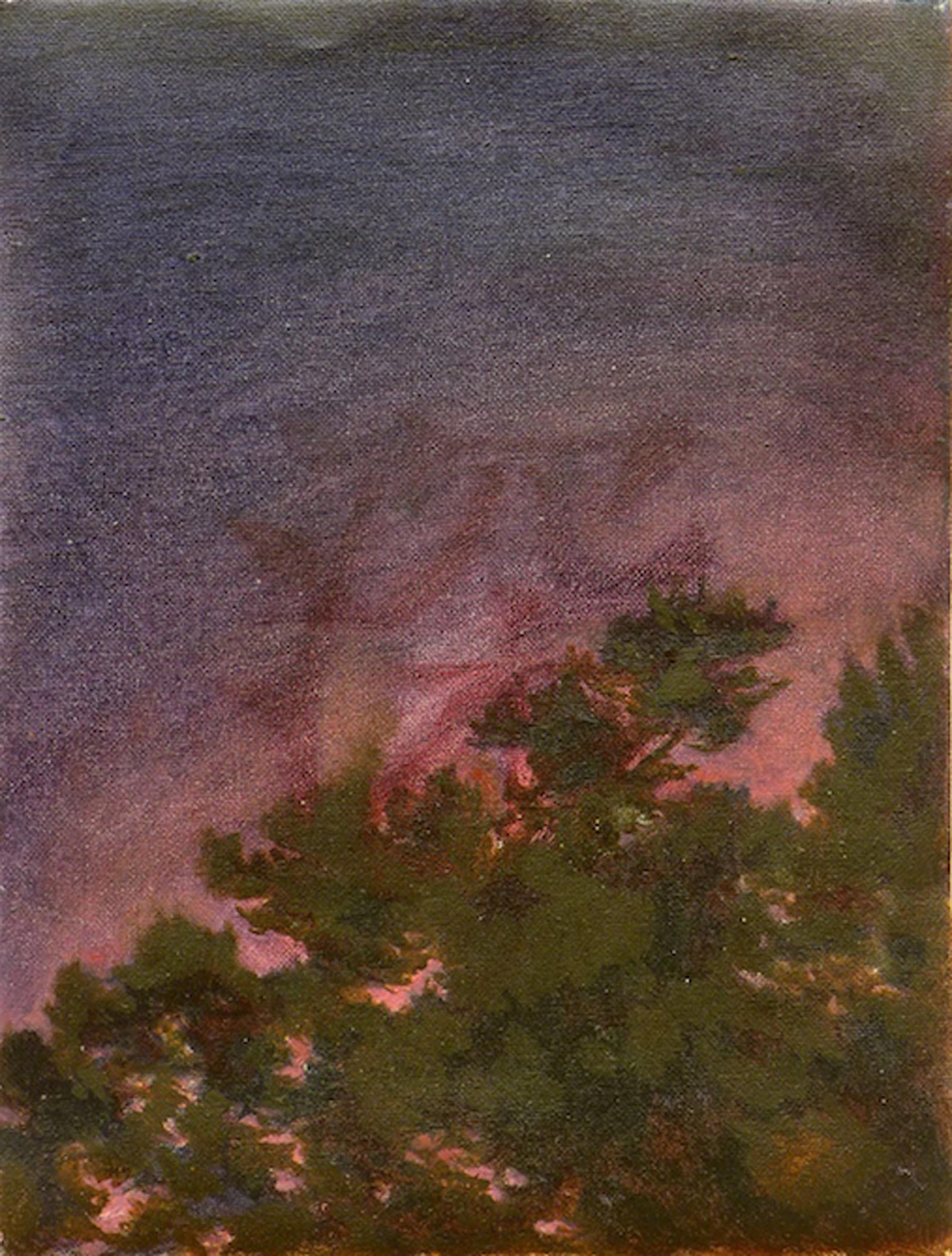 Julian Hsiung Landscape Painting - Midnight Landscape